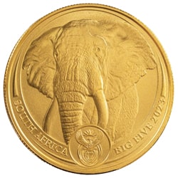 South African Big 5 Gold Coins-image