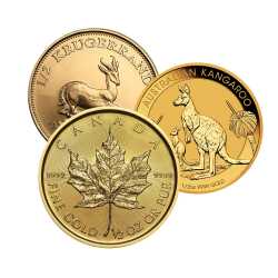 1/2 oz Gold Coin - Design Our Choice