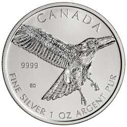 2015 1 oz Silver Red-Tailed Hawk - RCM Birds of Prey Series