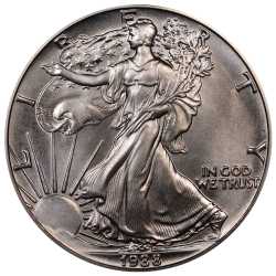 1988 American Silver Eagle Coin