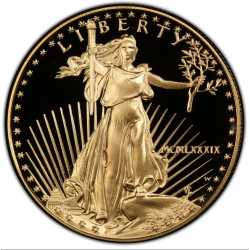 1989 1 oz American Gold Eagle Proof Coin