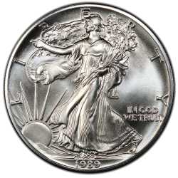 1989 American Silver Eagle Coin