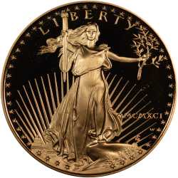 1991 1 oz American Gold Eagle Proof Coin