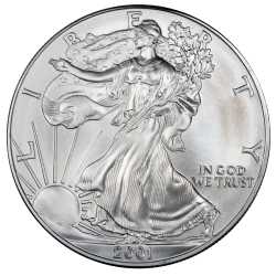 2001 American Silver Eagle Coin