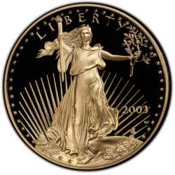 2003 1 oz American Gold Eagle Proof Coin