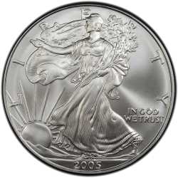 2005 American Silver Eagle Coin