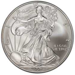 2006 American Silver Eagle Coin
