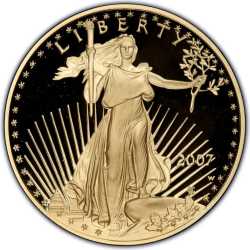 2007 1 oz American Gold Eagle Proof Coin
