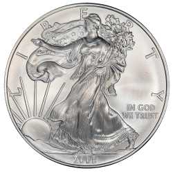 2008 American Silver Eagle Coin