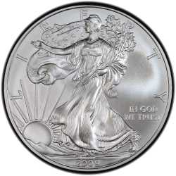 2009 American Silver Eagle Coin