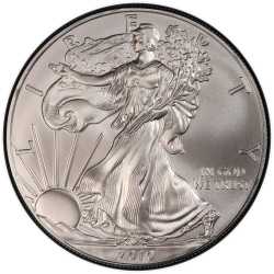 2010 American Silver Eagle Coin