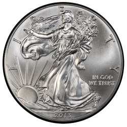 2013 American Silver Eagle Coin