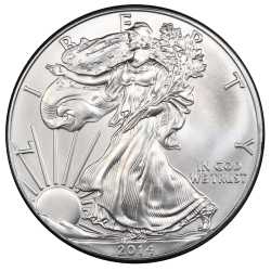 2014 American Silver Eagle Coin