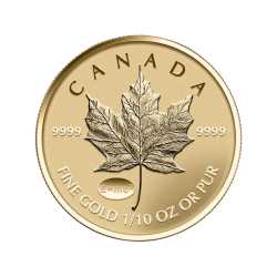 2015 1/10th oz Canadian Gold Maple Leaf Coin - Theory Of Relativity Privy Reverse Proof