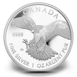 2014 1 oz Silver Peregrine Falcon - RCM Birds of Prey Series