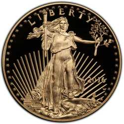 2016 1 oz American Gold Eagle Proof Coin
