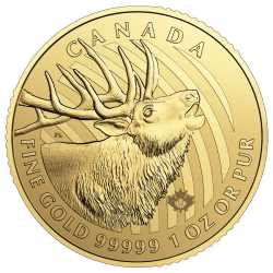 2017 1 oz Gold Crowned Elk Royal Canadian Mint - Call of the Wild - .99999