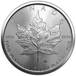 2020 1 oz Canadian Platinum Maple Leaf Coin BU