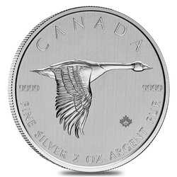 2020 2 oz Canadian Goose Silver Coin