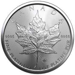 Buy 2022 Platinum Maple Leaf Coins - Free Shipping