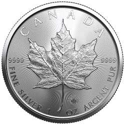 Buy 2022 Canadian Silver Maple Leafs - Lowest Price Online