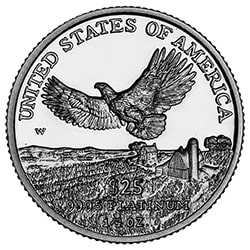 1/4 oz American Platinum Eagle Proof Coin - Random Year - Reverse