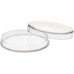 Z10 Air-Tite Case - 10 oz Silver Coin
