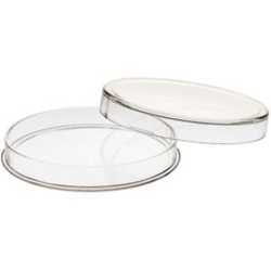  Air-Tite Case - 10 oz Queen's Beasts 