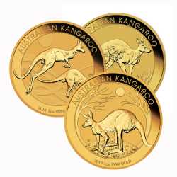 Australian Kangaroo Gold Coin 1 oz - Random Year