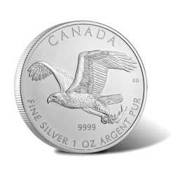 2014 1 oz Silver Canadian Bald Eagle - RCM Birds of Prey Series