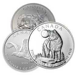 1 oz Royal Canadian Mint Silver Coins - Random Design