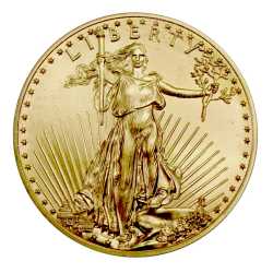 American Gold Eagle Coin 1 oz Coin (Cull/Damaged)