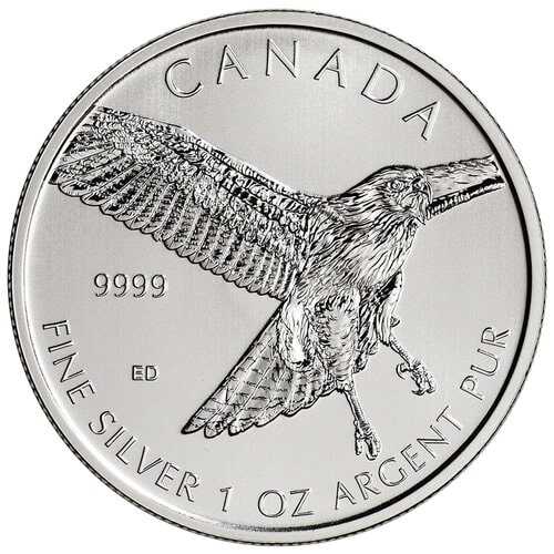 2015\u00201\u0020oz\u0020Silver\u0020Red\u002DTailed\u0020Hawk\u0020\u002D\u0020RCM\u0020Birds\u0020of\u0020Prey\u0020Series