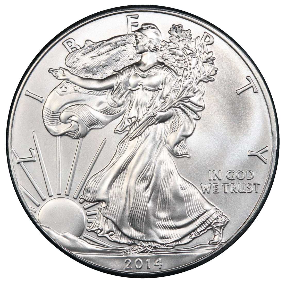 2014\u0020American\u0020Silver\u0020Eagle\u0020Coin