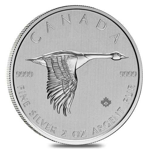 2020\u00202\u0020oz\u0020Canadian\u0020Goose\u0020Silver\u0020Coin