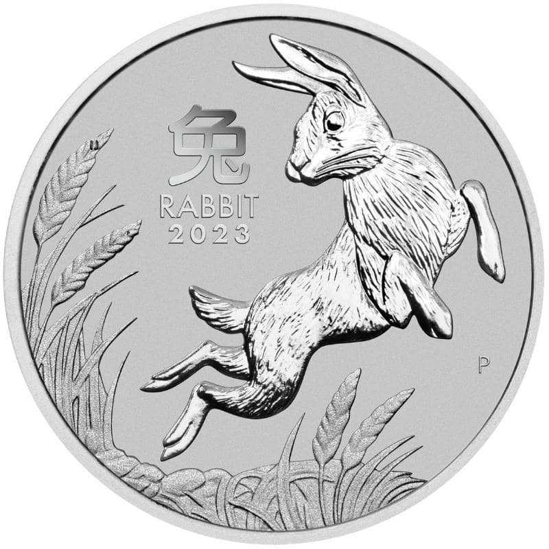 2023\u00201\u0020oz\u0020Perth\u0020Mint\u0020Platinum\u0020Lunar\u0020Rabbit\u0020Coin\u0020\u002D\u0020Series\u0020III