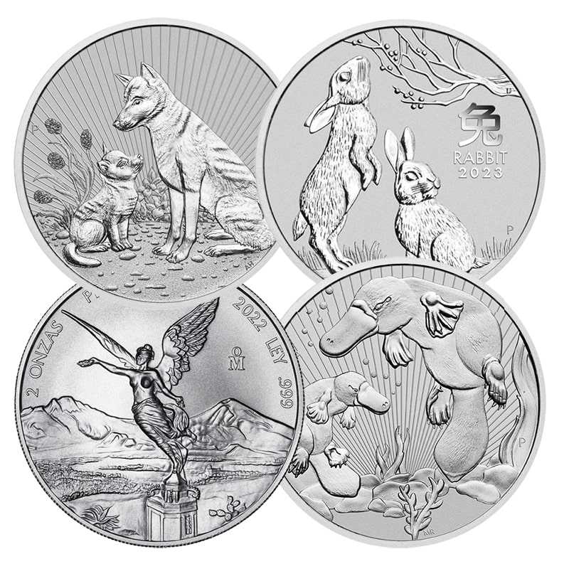 2\u0020oz\u0020Silver\u0020Coin\u0020\u002D\u0020Design\u0020Our\u0020Choice