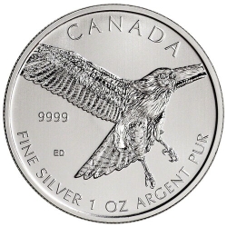 2015 1 oz Silver Red-Tailed Hawk - RCM Birds of Prey Series 2015 1 oz Silver Red-Tailed Hawk - RCM Birds of Prey Series