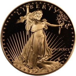 1991 1 oz American Gold Eagle Proof Coin