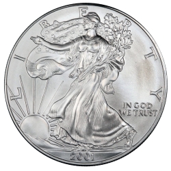 2001 American Silver Eagle Coin