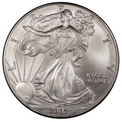 2002 American Silver Eagle Coin