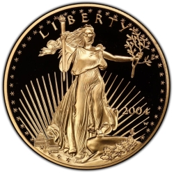 2004 1 oz American Gold Eagle Proof Coin