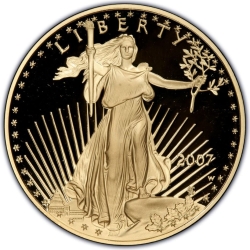 2007 1 oz American Gold Eagle Proof Coin