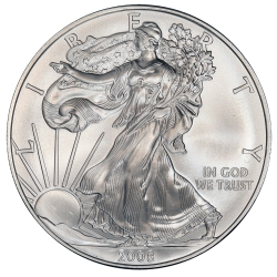 2008 American Silver Eagle Coin