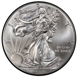 2013 American Silver Eagle Coin