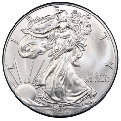 2014 American Silver Eagle Coin