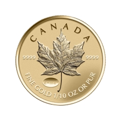 2015 1/10th oz Canadian Gold Maple Leaf Coin - Theory Of Relativity Privy Reverse Proof 2015 1/10th oz Canadian Gold Maple Leaf Coin - Theory Of Relativity Privy Reverse Proof