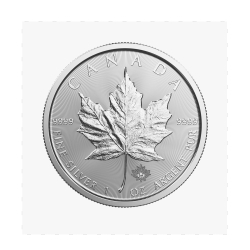 2017 Canadian Silver Maple Leaf Coin - In Flex-Sealed Packaging 2017 Canadian Silver Maple Leaf Coin - In Flex-Sealed Packaging