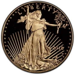 2018 1 oz American Gold Eagle Proof Coin