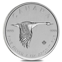 2020 2 oz Canadian Goose Silver Coin